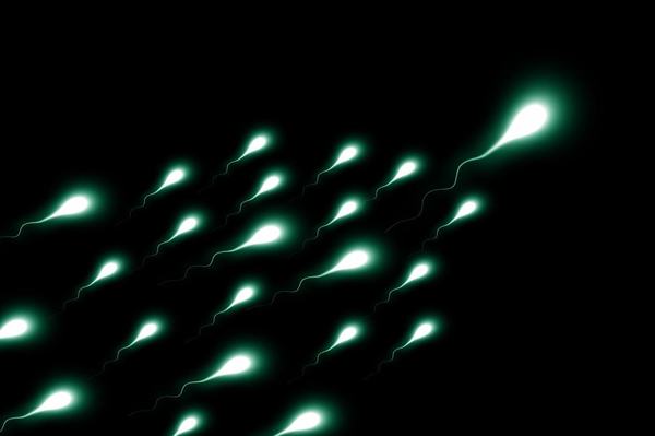 Calitatea spermei in preconceptie